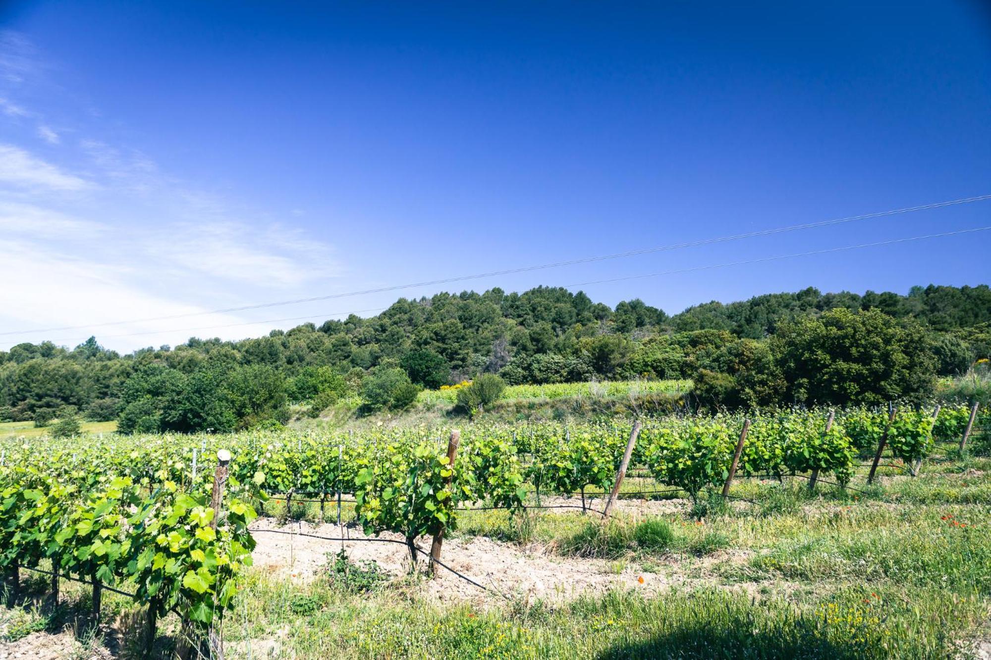 Appartamento Domaine Des Peyre Robion en Luberon Esterno foto
