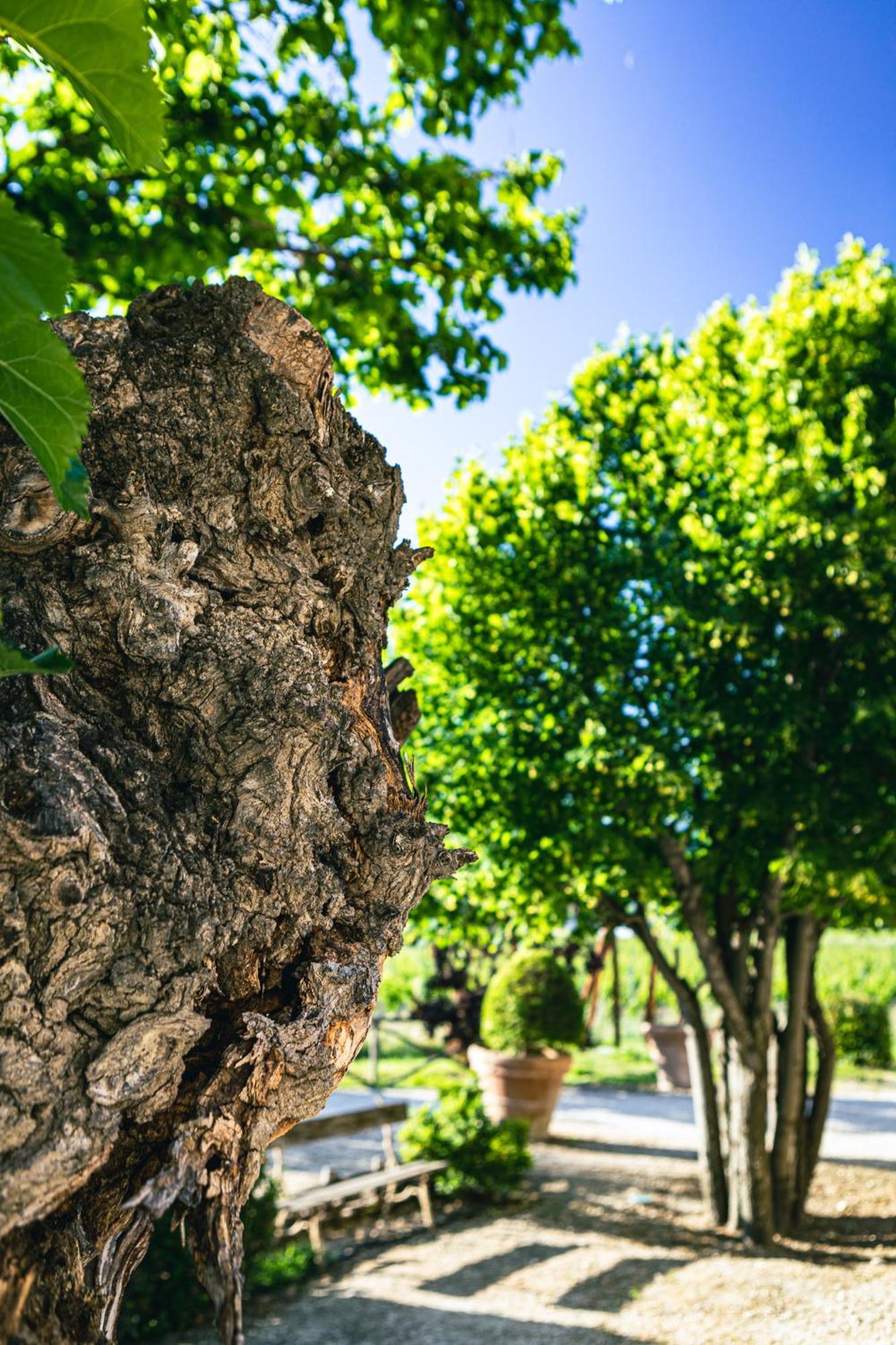 Appartamento Domaine Des Peyre Robion en Luberon Esterno foto