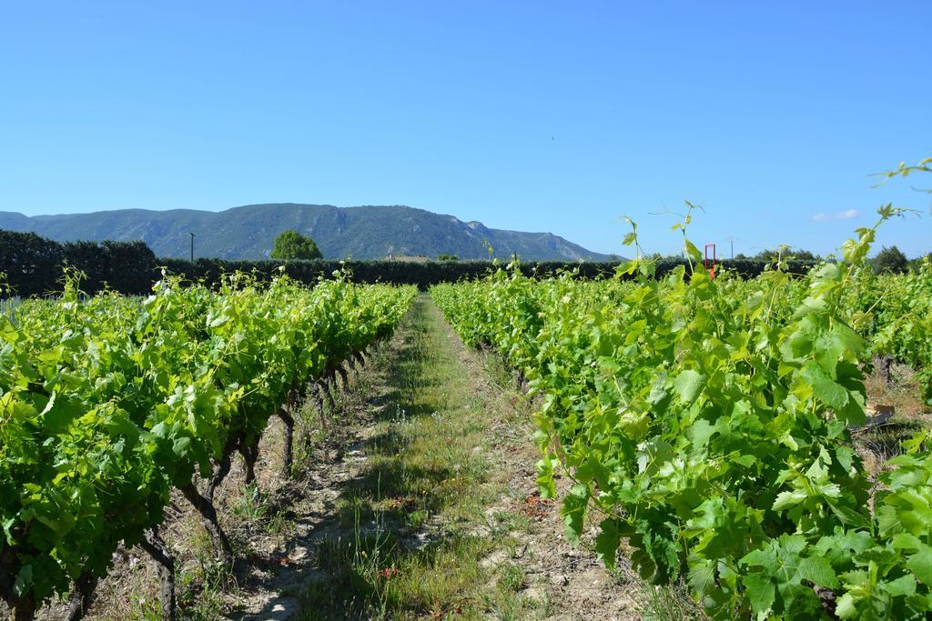 Appartamento Domaine Des Peyre Robion en Luberon Esterno foto
